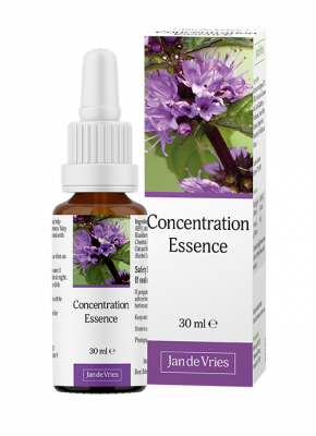 Bach Flower Remedy Concentration Essence