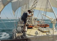 Climbing the ratlines