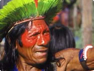 People of the rainforest
