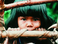 People of the rainforest