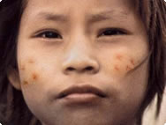 People of the rainforest