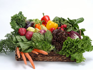 Five a day Five a day