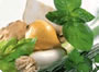 Fresh organic herbs used in Herbamare Fresh organic vegetables used in Herbamare
