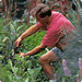 Gardening