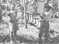 Alfred Vogel with a beekeeper