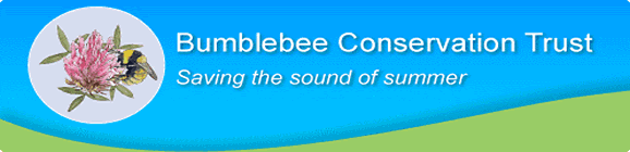 Bumblebee Conservation Trust