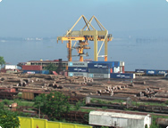 Wood ready for transporting