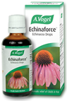 Echinacea