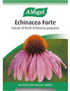 Echinaforce Forte 40 Tablets