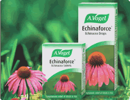 Echinaforce Echinacea drops Echinaforce Echinacea drops