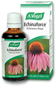 Echinacea