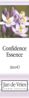Confidence Essence