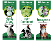 Animal Essences