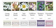 Jan de Vries Flower Essences