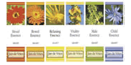 Jan de Vries Flower Essences