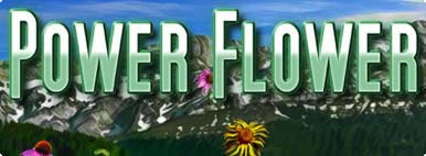 POWER FLOWER POWER FLOWER