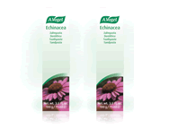 Echinacea toothpaste Echinacea toothpaste