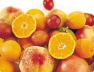 fruit fruit