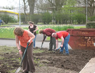 Preparing the ground