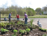 Planting begins