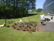 Flower bed at KSP