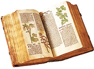 Traditional Herbal Medicinal 