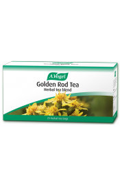 Golden Rod Tea Golden Rod Tea