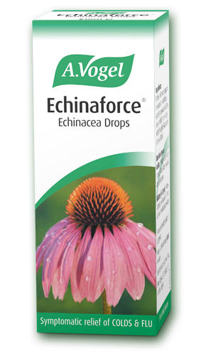 Communication on this topic: Echinacea Helps Fight Colds, echinacea-helps-fight-colds/ Forum on this topic: Echinacea Helps Fight Colds, echinacea-helps-fight-colds/