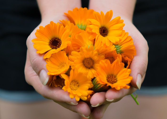 5 herbs for PMS