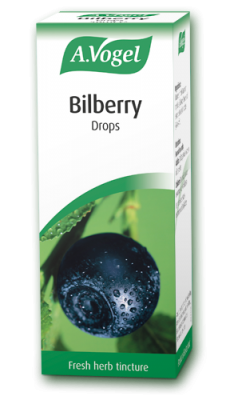 Bilberry (Vaccinium)