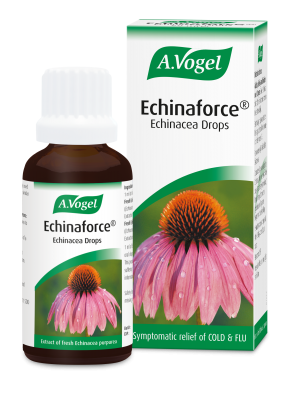 Echinacea drops & tablets