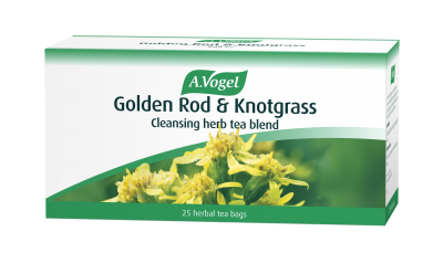 Golden Rod & Knotgrass Tea