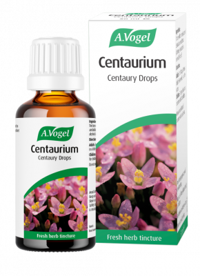 Centaurium centaury
