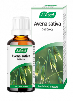 Avena sativa