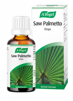 saw palmetto