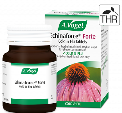 High strength Echinacea