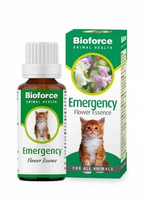 Emergency Essence for pets