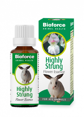 Highly Strugn essence for pets
