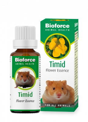 Timid Essence for pets
