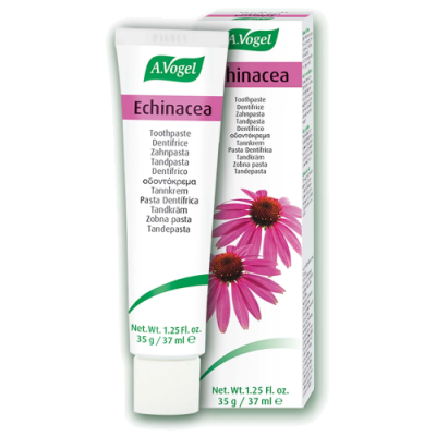 Echinacea herbal toothpaste