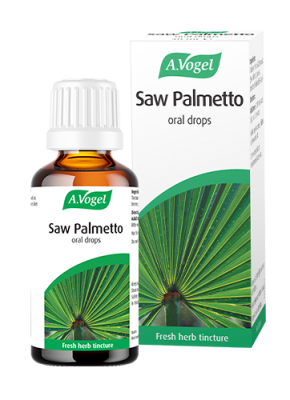 saw palmetto