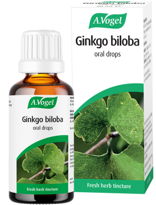 Ginkgo biloba