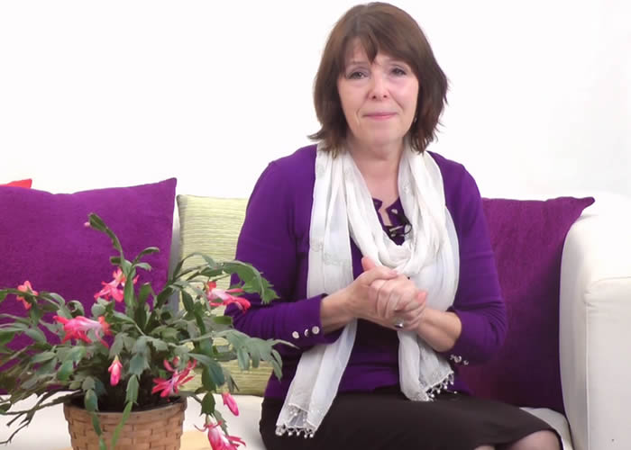 How menopause affects your bones