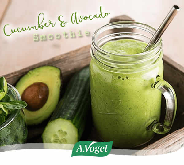 Cucumber & Avocado Smoothie (Vegan & GF)