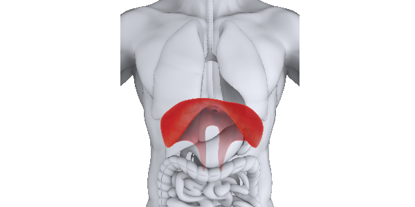 Hiccups – a symptom of acid reflux