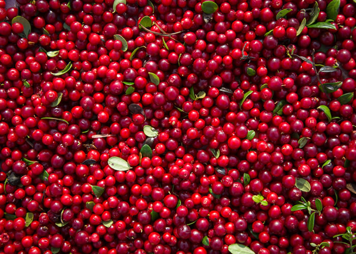Ditching cranberries for UTIs – is it the right advice?