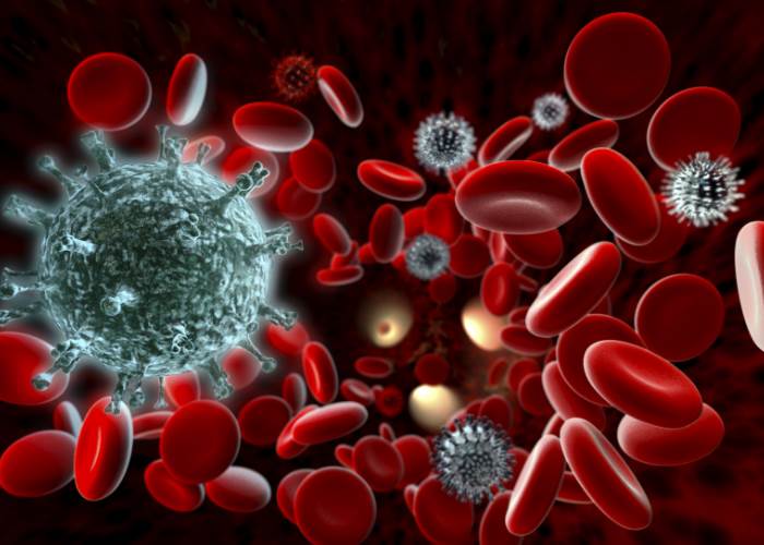How does the immune system work?