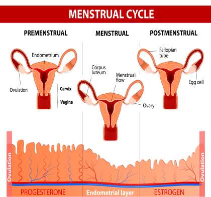 Can menstrual cramps change at different ages? - In Sync By Nua.