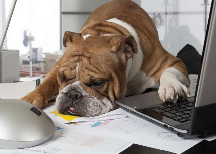 I'm soooo tired!