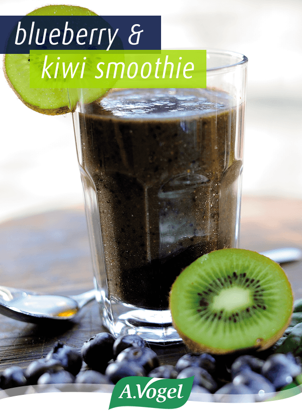 Blueberry And Kiwi Smoothie 